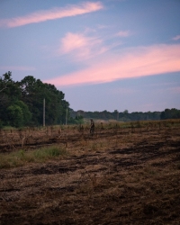TRLT-Annual-Dove-Hunt-2022-16