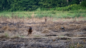 TRLT-Annual-Dove-Hunt-2022-36