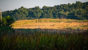 TRLT-Annual-Dove-Hunt-2022-49