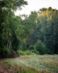 TRLT-Annual-Dove-Hunt-2022-51