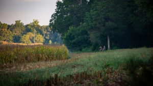 TRLT-Annual-Dove-Hunt-2022-61
