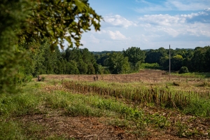 TRLT-Annual-Dove-Hunt-2022-77