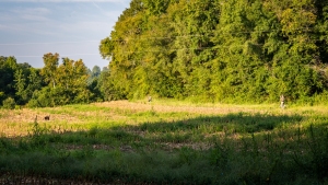 TRLT-Annual-Dove-Hunt-2022-85