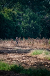 TRLT-Annual-Dove-Hunt-2022-88