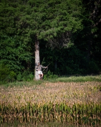 TRLT-Annual-Dove-Hunt-2022-90